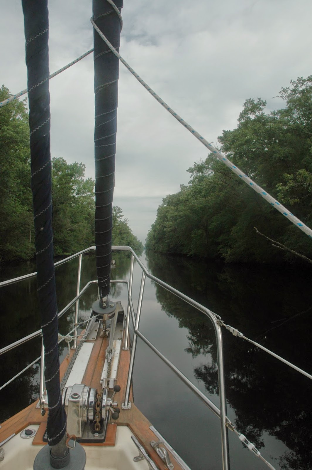The Dismal Swamp