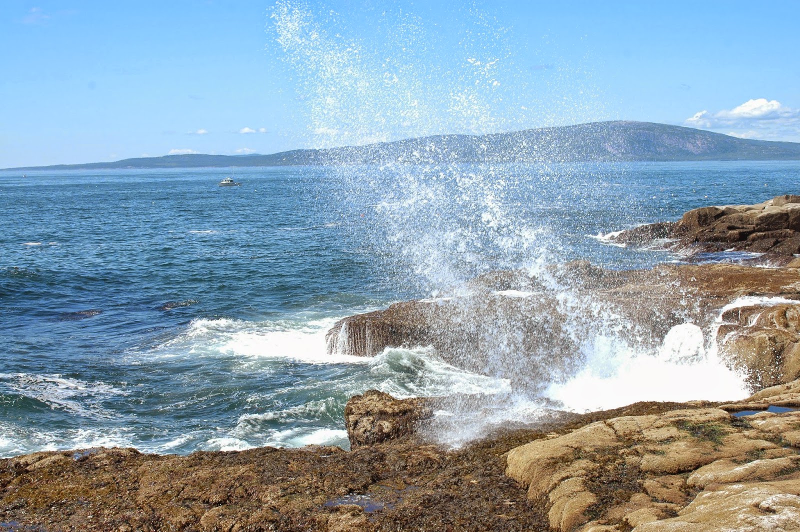 Schoodic