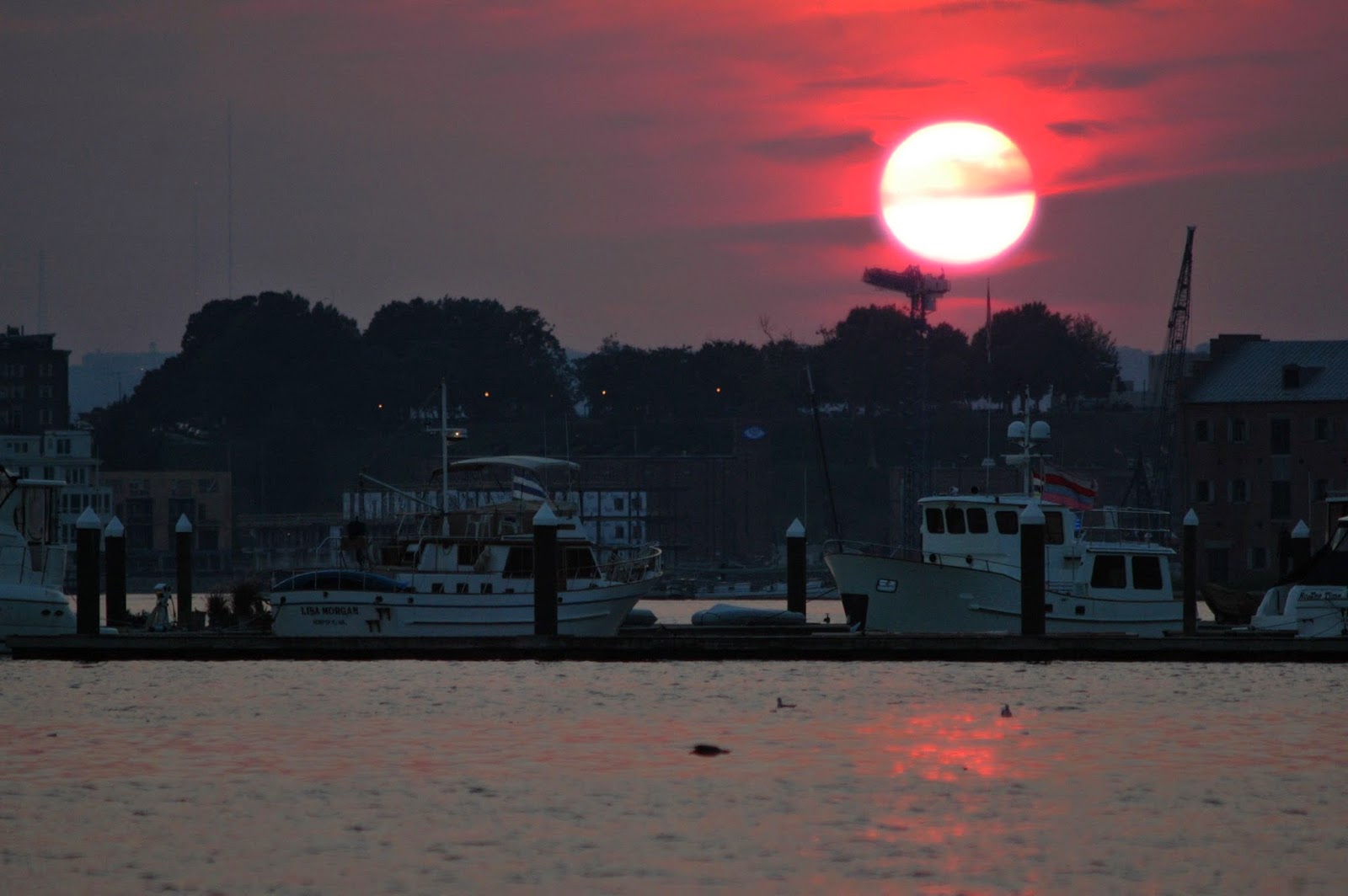 Chesapeake City to Safeway