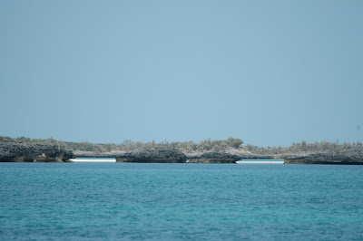 Double Breasted Cay