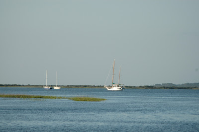 New Smyrna Beach to Fernandina Beach