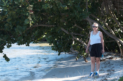 Hobe Sound Favorites