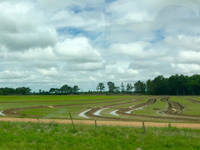Wild Things Farm