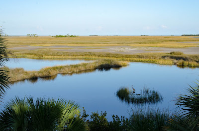 St Marks National Wildlife Refuge
