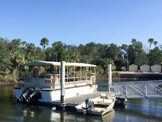 Manatees, Birds, and Parking Sadness