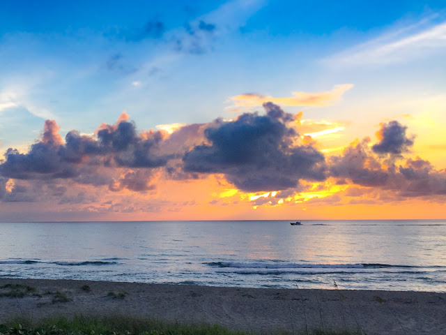 Turtles Ashore