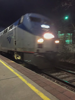 Amtrak, Pelicans, Savannah & Wildlife