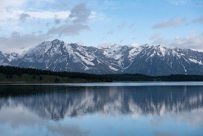 North to Yellowstone