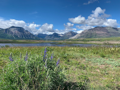 South to Glacier