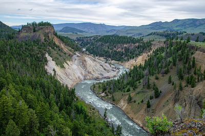 Yellowstone to Missoula