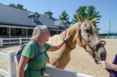 Up Close with Kentucky Horses