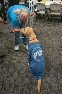 Sarasota Rally 2019