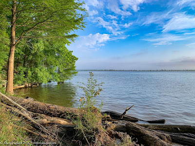 NC to Santee and Lake Marion