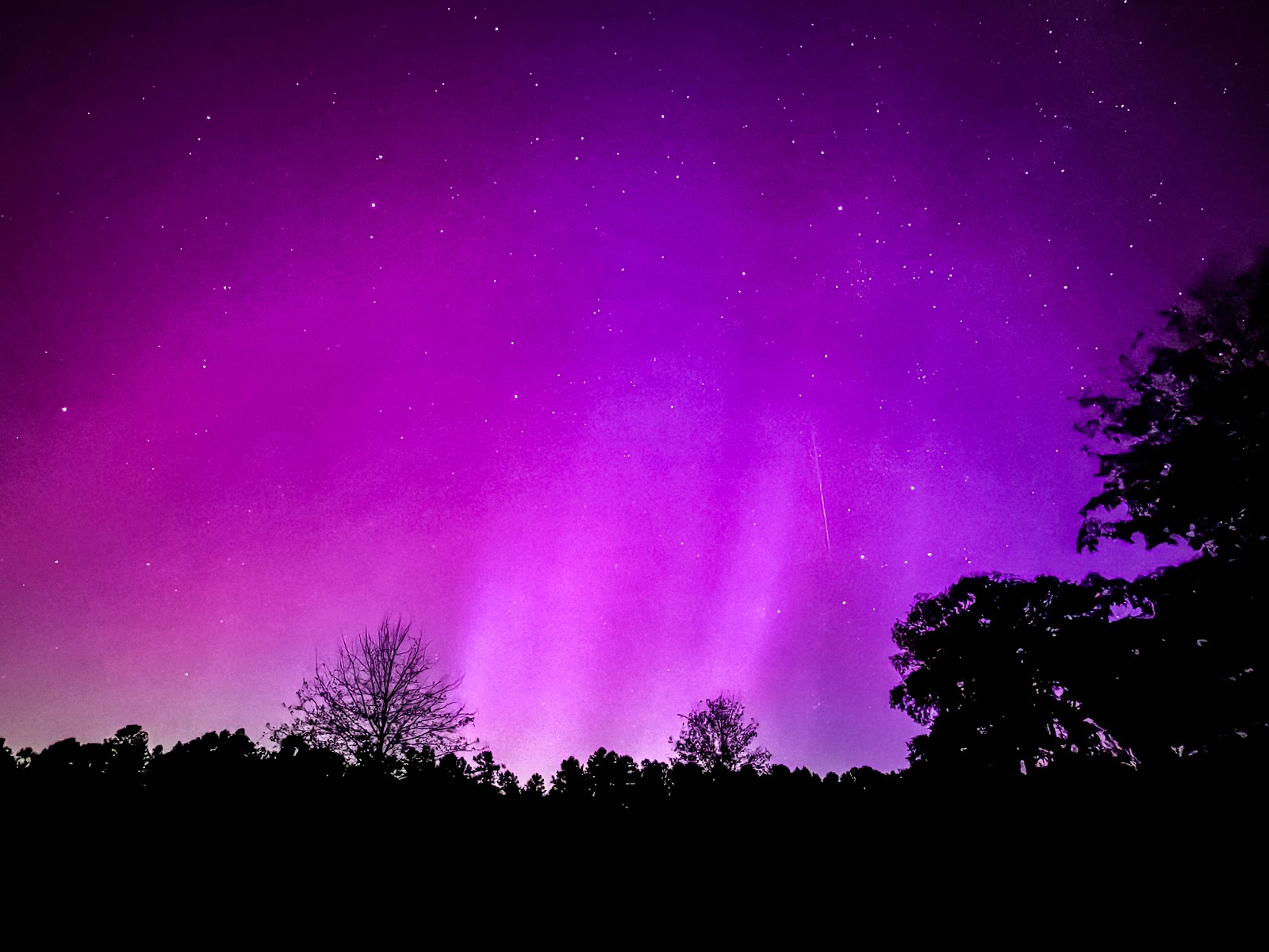Aurora Viewing in the South