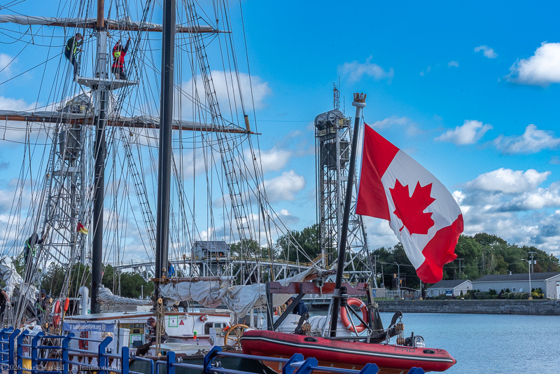 Tall Ship and Giant Catfish